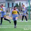 Sokol Terezín 5-2 TJ Žitenice